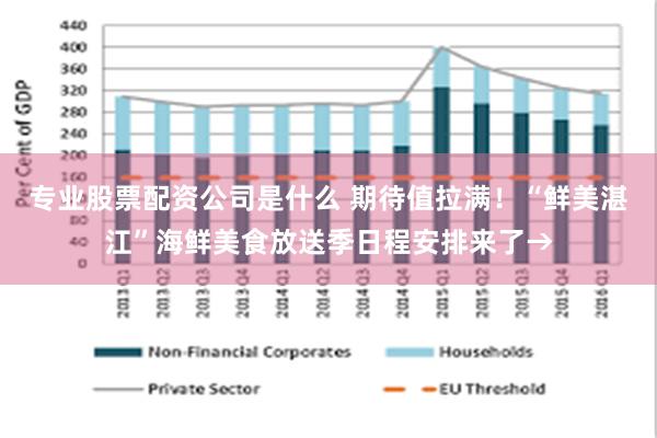 专业股票配资公司是什么 期待值拉满！“鲜美湛江”海鲜美食放送季日程安排来了→