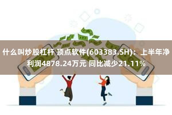 什么叫炒股杠杆 顶点软件(603383.SH)：上半年净利润4878.24万元 同比减少21.11%