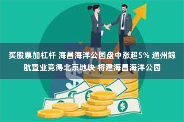 买股票加杠杆 海昌海洋公园盘中涨超5% 通州鲸航置业竞得北京地块 将建海昌海洋公园