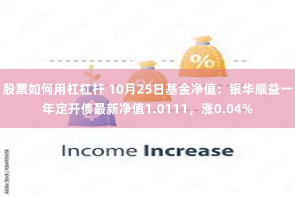 股票如何用杠杠杆 10月25日基金净值：银华顺益一年定开债最新净值1.0111，涨0.04%