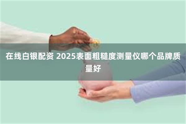 在线白银配资 2025表面粗糙度测量仪哪个品牌质量好