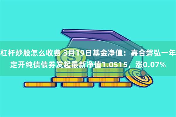 杠杆炒股怎么收费 3月19日基金净值：嘉合磐弘一年定开纯债债券发起最新净值1.0515，涨0.07%